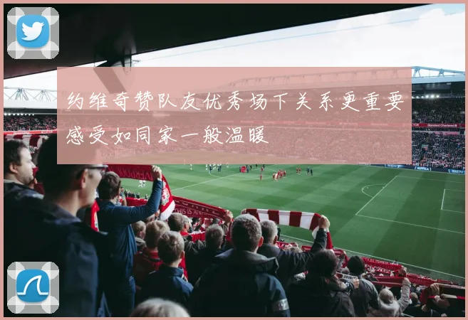 约维奇赞队友优秀场下关系更重要感受如同家一般温暖