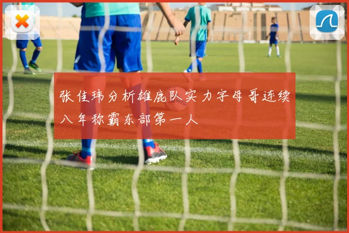 张佳玮分析雄鹿队实力字母哥连续八年称霸东部第一人
