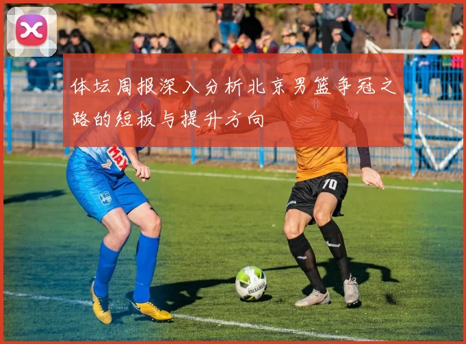 体坛周报深入分析北京男篮争冠之路的短板与提升方向