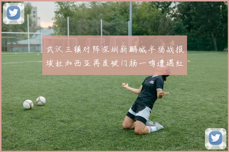 武汉三镇对阵深圳新鹏城半场战报埃杜加西亚再度破门杨一鸣遭遇红牌处罚