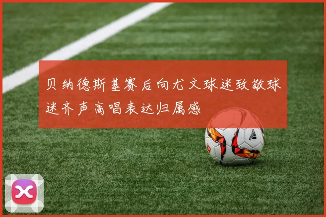 贝纳德斯基赛后向尤文球迷致敬球迷齐声高唱表达归属感