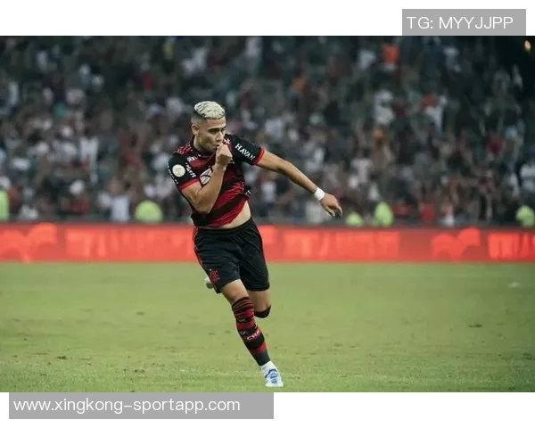 弗拉门戈再创辉煌成为历史第5次巴甲与解放者杯双冠王 弗拉门戈再创辉煌成为历史第5次巴甲与解放者杯双冠王